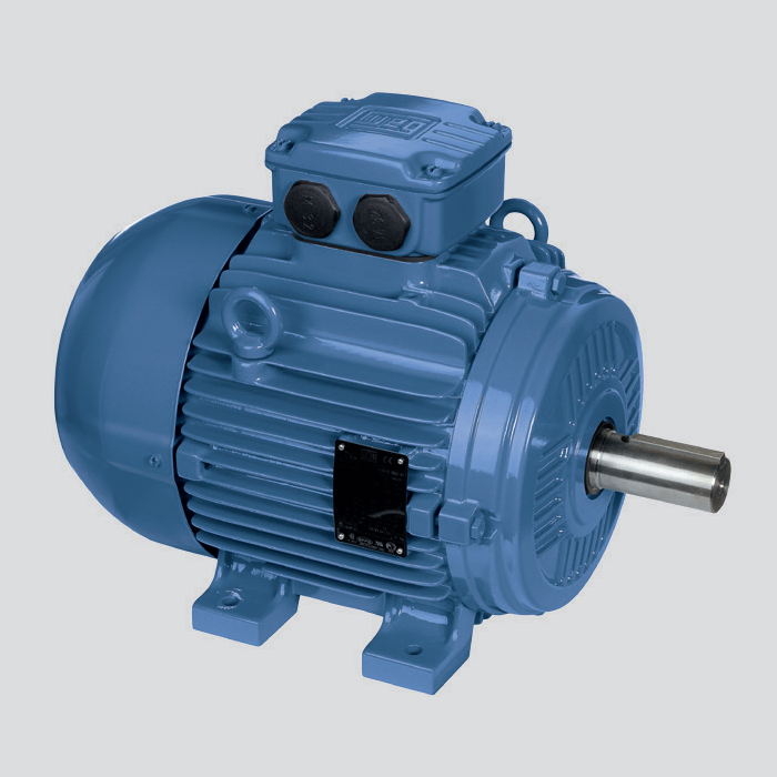 鑄鐵機(jī)座 W21 多電壓電機(jī)