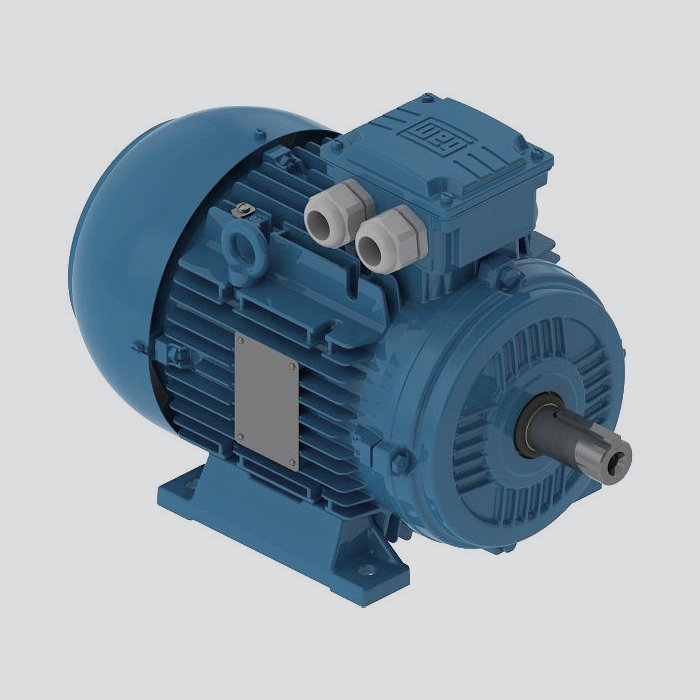 鋁殼電機 W21 多電壓電機