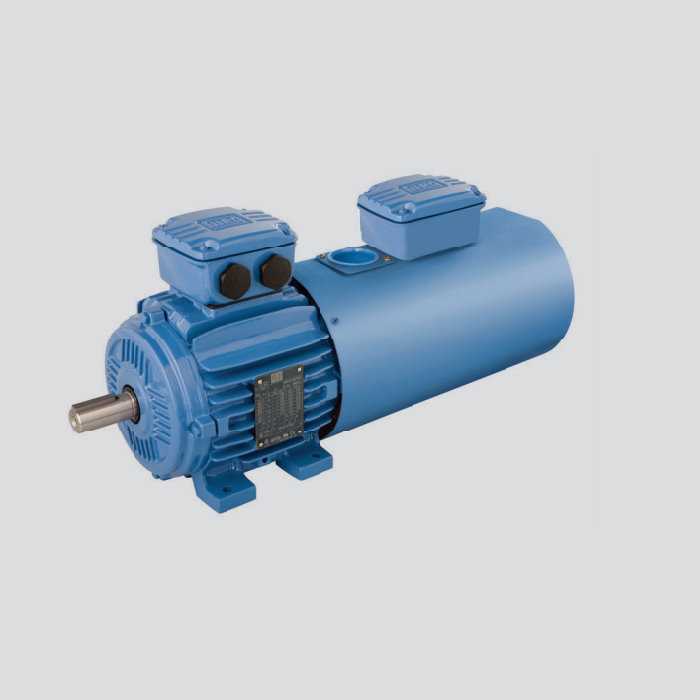 鑄鐵機(jī)座 W21 變頻電機(jī)