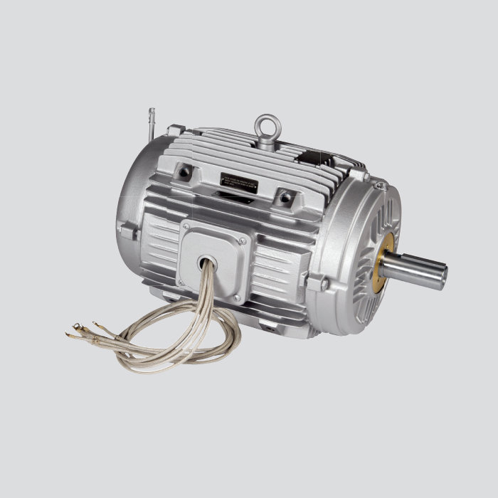 WEG排煙電機(jī)