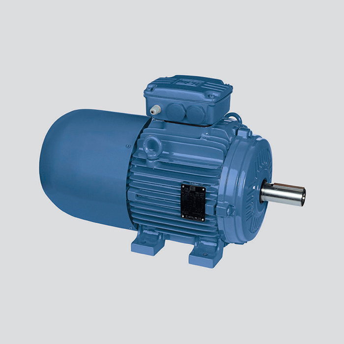 鑄鐵機(jī)座 W21 制動(dòng)電機(jī)