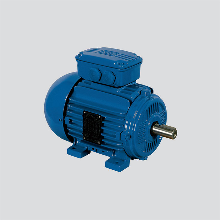 鑄鐵機(jī)座 Ex nA - 無火花電機(jī)