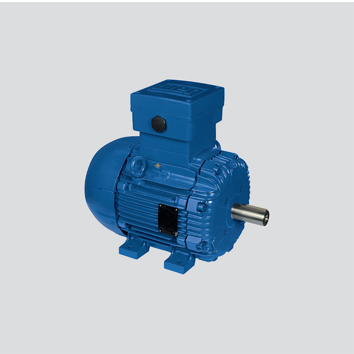 鑄鐵機(jī)座Exd-Ex-de防爆電機(jī)