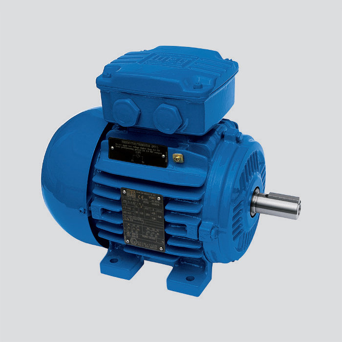 鑄鐵機(jī)座-Exe-增安型電機(jī)