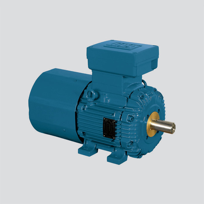 鑄鐵機(jī)座 Ex d Brake – 制動(dòng)防爆電機(jī)