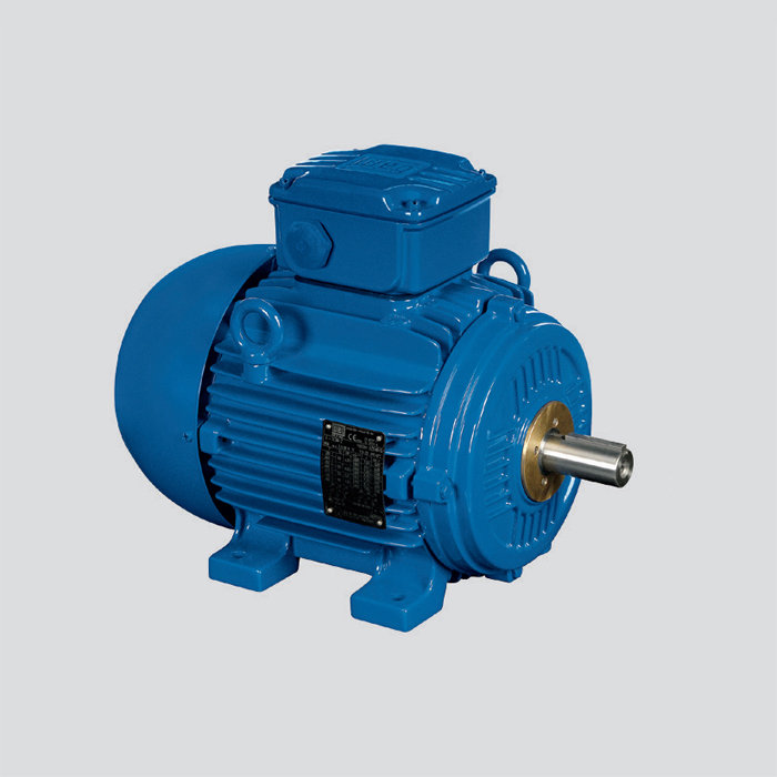 鑄鐵機(jī)座 Zone21 粉塵防爆電機(jī)